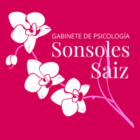 sonsoles saiz 3b
